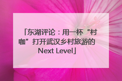东湖评论：用一杯“村咖”打开武汉乡村旅游的Next Level