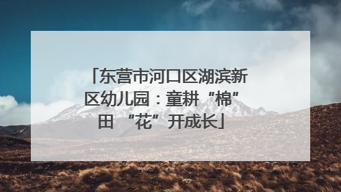 东营市河口区湖滨新区幼儿园：童耕“棉”田 “花”开成长