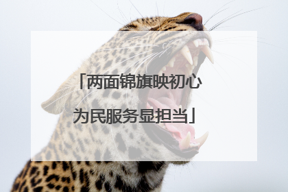 两面锦旗映初心 为民服务显担当