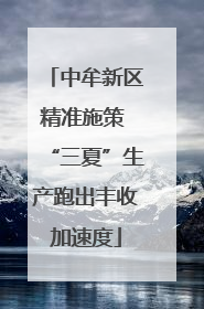 中牟新区精准施策 “三夏”生产跑出丰收加速度