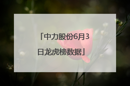 中力股份6月3日龙虎榜数据