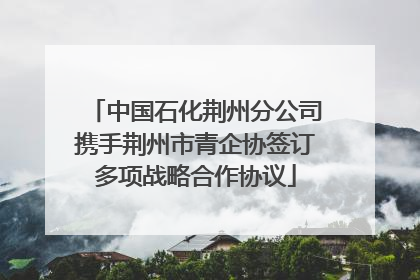 中国石化荆州分公司携手荆州市青企协签订多项战略合作协议