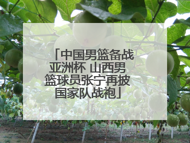 中国男篮备战亚洲杯 山西男篮球员张宁再披国家队战袍