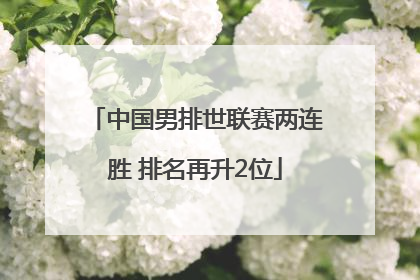 中国男排世联赛两连胜 排名再升2位