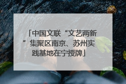 中国文联“文艺两新”集聚区南京、苏州实践基地在宁授牌