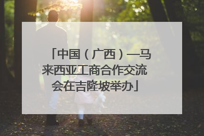 中国（广西）—马来西亚工商合作交流会在吉隆坡举办
