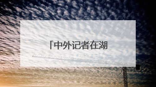 中外记者在湖北感受科技创新澎湃动力