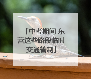 中考期间 东营这些路段临时交通管制