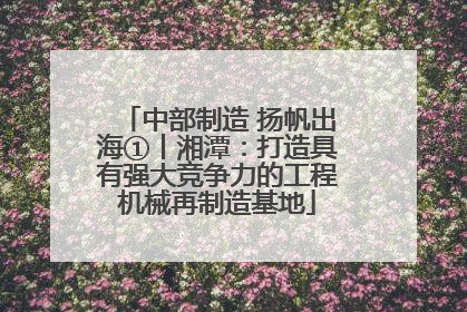 中部制造 扬帆出海①丨湘潭：打造具有强大竞争力的工程机械再制造基地