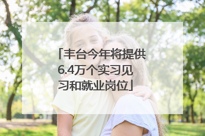 丰台今年将提供6.4万个实习见习和就业岗位
