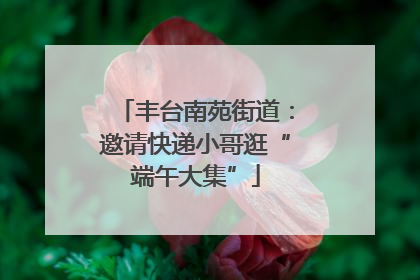 丰台南苑街道：邀请快递小哥逛“端午大集”