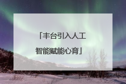 丰台引入人工智能赋能心育