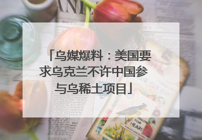 乌媒爆料：美国要求乌克兰不许中国参与乌稀土项目
