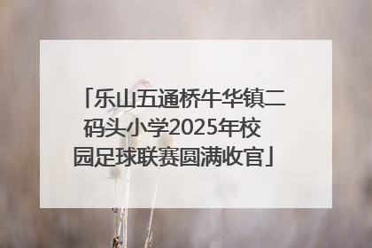 乐山五通桥牛华镇二码头小学2025年校园足球联赛圆满收官