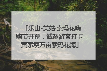 乐山-美姑·索玛花嗨购节开幕，诚邀游客打卡黄茅埂万亩索玛花海