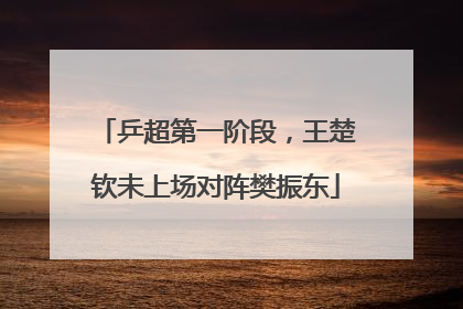乒超第一阶段，王楚钦未上场对阵樊振东