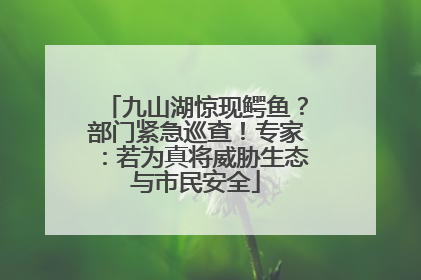 九山湖惊现鳄鱼？部门紧急巡查！专家：若为真将威胁生态与市民安全