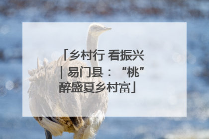 乡村行 看振兴｜易门县：“桃”醉盛夏乡村富