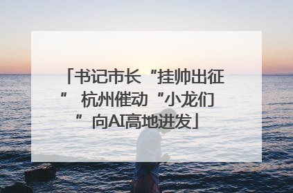 书记市长“挂帅出征” 杭州催动“小龙们”向AI高地进发