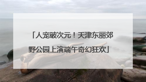 人宠破次元！天津东丽郊野公园上演端午奇幻狂欢