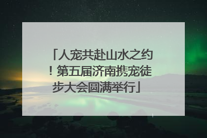 人宠共赴山水之约！第五届济南携宠徒步大会圆满举行