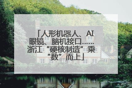 人形机器人、AI眼镜、脑机接口……浙江“硬核制造”乘“数”而上
