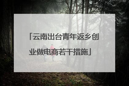 云南出台青年返乡创业做电商若干措施
