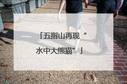 五指山再现“水中大熊猫”