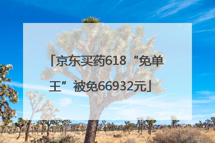 京东买药618“免单王”被免66932元