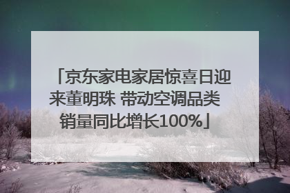 京东家电家居惊喜日迎来董明珠 带动空调品类销量同比增长100%