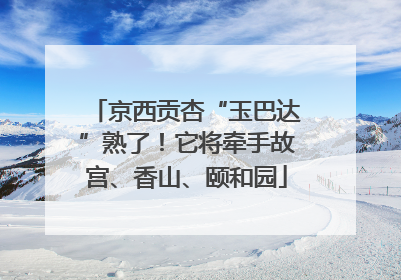 京西贡杏“玉巴达”熟了！它将牵手故宫、香山、颐和园
