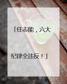 任志能，六大纪律全违反！