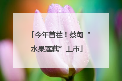 今年首茬！蔡甸“水果莲藕”上市
