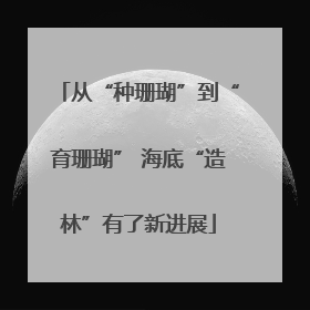 从“种珊瑚”到“育珊瑚” 海底“造林”有了新进展