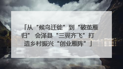 从“候鸟迁徙”到“破茧雁归” 会泽县“三翼齐飞”打造乡村振兴“创业雁阵”