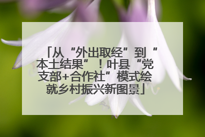 从“外出取经”到“本土结果”！叶县“党支部+合作社”模式绘就乡村振兴新图景
