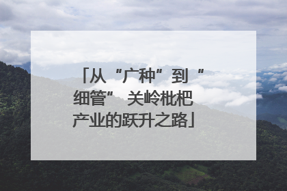 从“广种”到“细管” 关岭枇杷产业的跃升之路