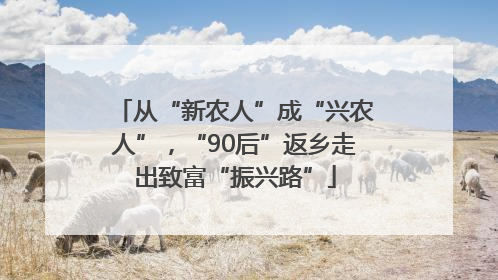 从“新农人”成“兴农人”，“90后”返乡走出致富“振兴路”