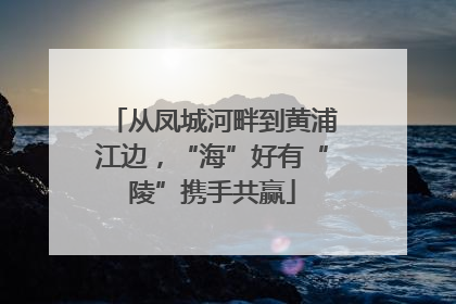 从凤城河畔到黄浦江边，“海”好有“陵”携手共赢