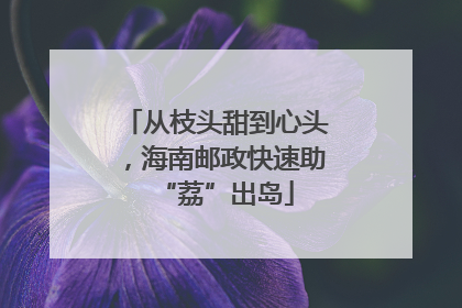 从枝头甜到心头，海南邮政快速助“荔”出岛