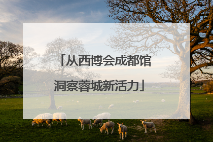 从西博会成都馆洞察蓉城新活力
