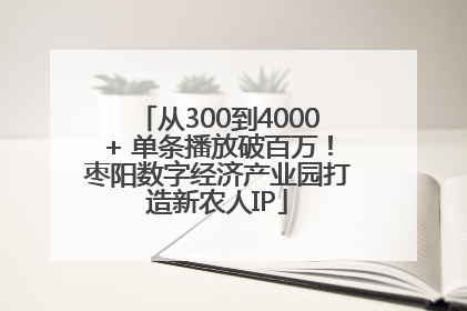 从300到4000+ 单条播放破百万！枣阳数字经济产业园打造新农人IP