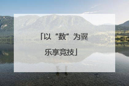 以“数”为翼 乐享竞技
