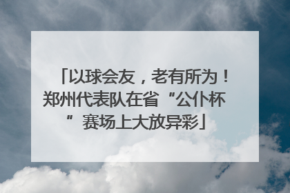 以球会友，老有所为！郑州代表队在省“公仆杯”赛场上大放异彩