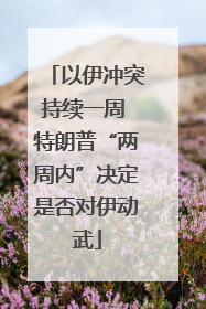 以伊冲突持续一周 特朗普“两周内”决定是否对伊动武
