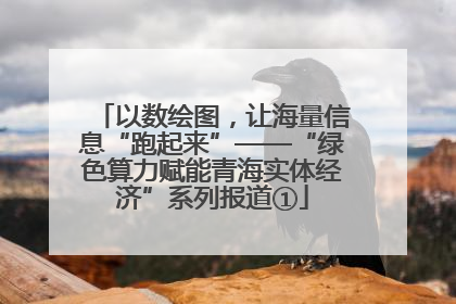 以数绘图，让海量信息“跑起来”——“绿色算力赋能青海实体经济”系列报道①