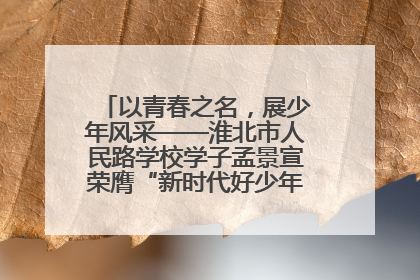 以青春之名，展少年风采——淮北市人民路学校学子孟景宣荣膺“新时代好少年”荣誉称号