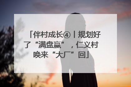 伴村成长④丨规划好了“满盘赢”，仁义村唤来“大厂”回