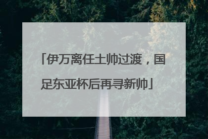 伊万离任土帅过渡，国足东亚杯后再寻新帅