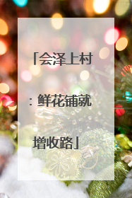 会泽上村：鲜花铺就增收路